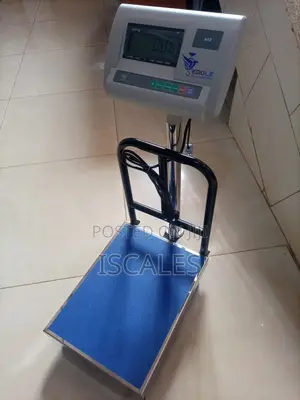 Digital Weighing Scale 100kg Precision Weigh Digital Weighing Scale