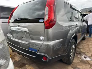 Nissan X-Trail 2.0 Petrol AWD 2013 Gray