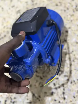 Original Usk Surface Water Pressure Booster Pump 0.5 Hp