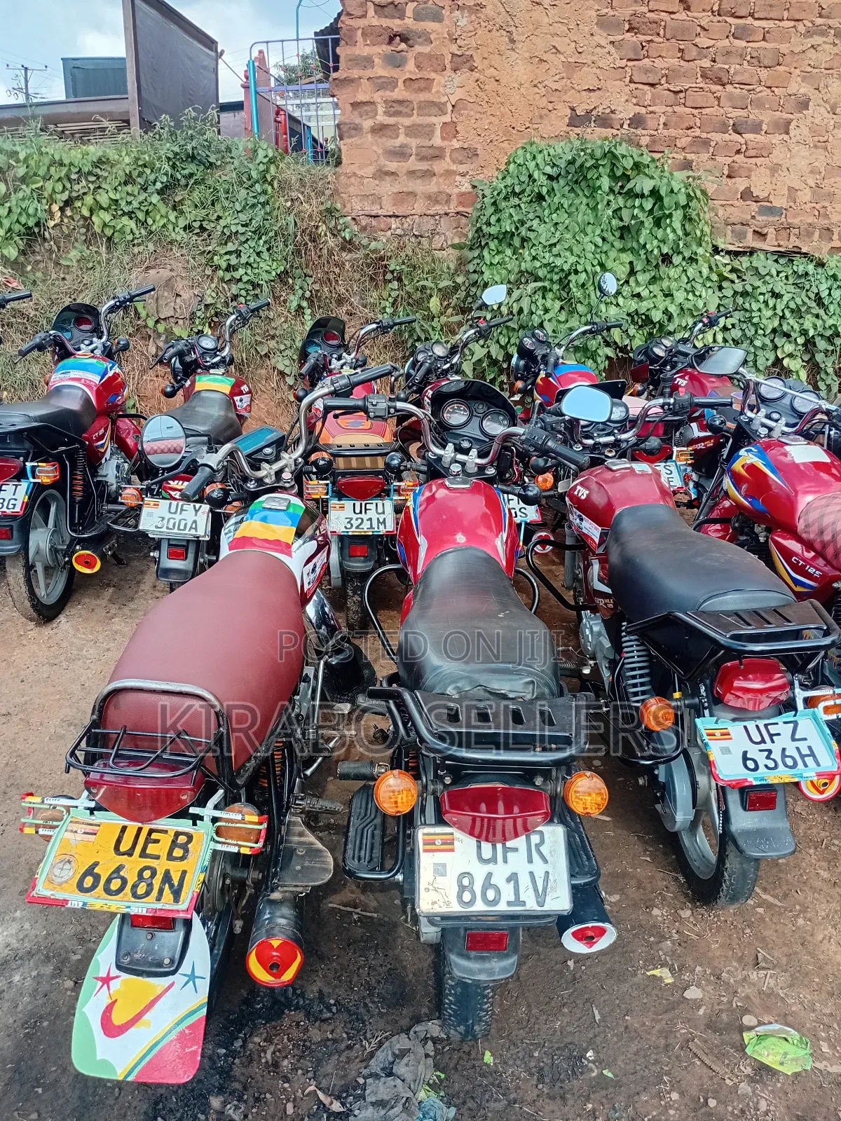 TVS HLX 125 2023 Red
