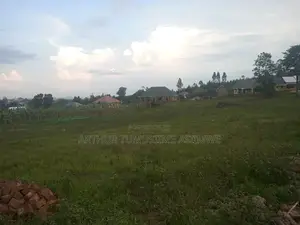 Over 20 Plots of Land 50 by 100 in Busiika Town (Ugx 38m Per Plot).