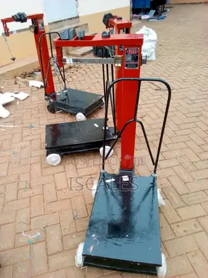 Fair Manual Weighing Scale Fair 300kg Weigh Manual Weighing Scale