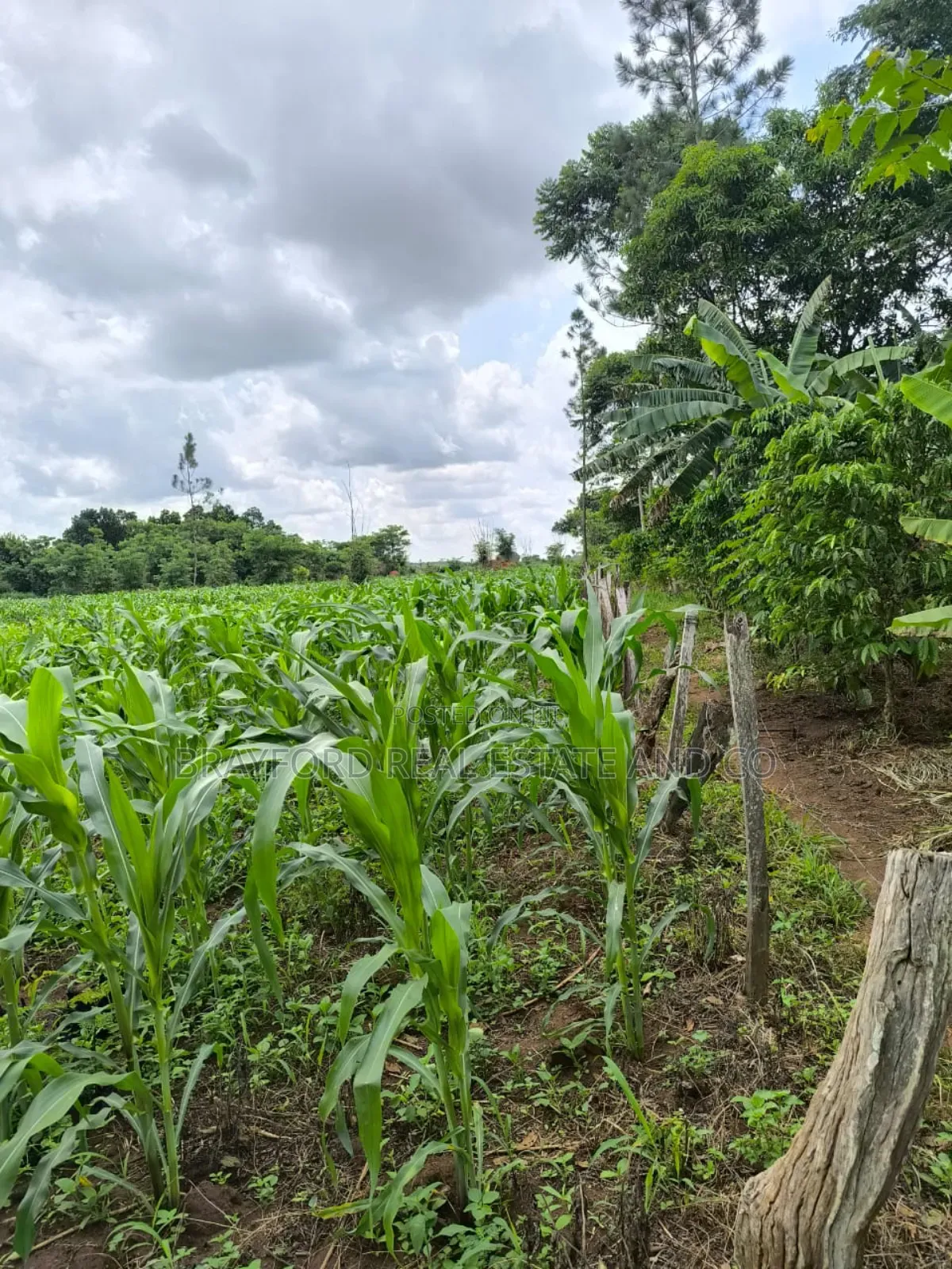 Brayford Farm Land for Sale at Only 8m Per Acre