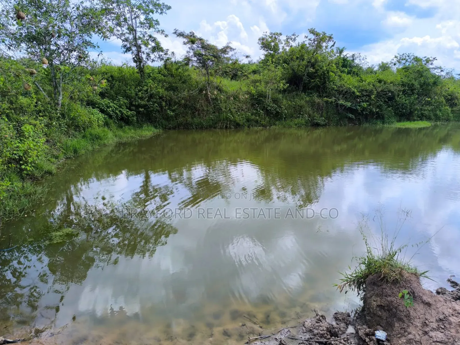 Brayford Farm Land for Sale at Only 8m Per Acre