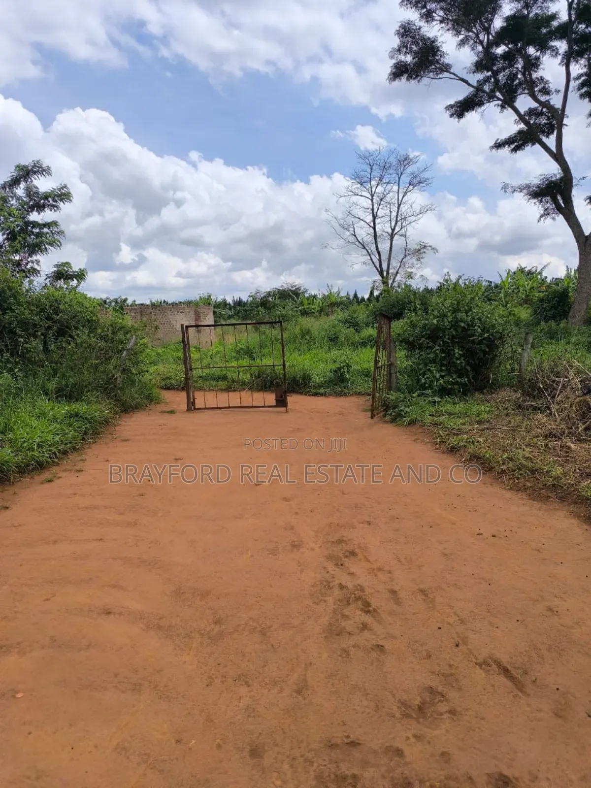 Brayford Farm Land for Sale at Only 8m Per Acre