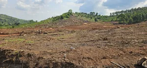 Search for Residential Land - Miss Not Kakiri Gobero Estate Hoima Road