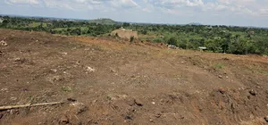 Titled Plots for Sale at Kakiri - Gobero Wakiso