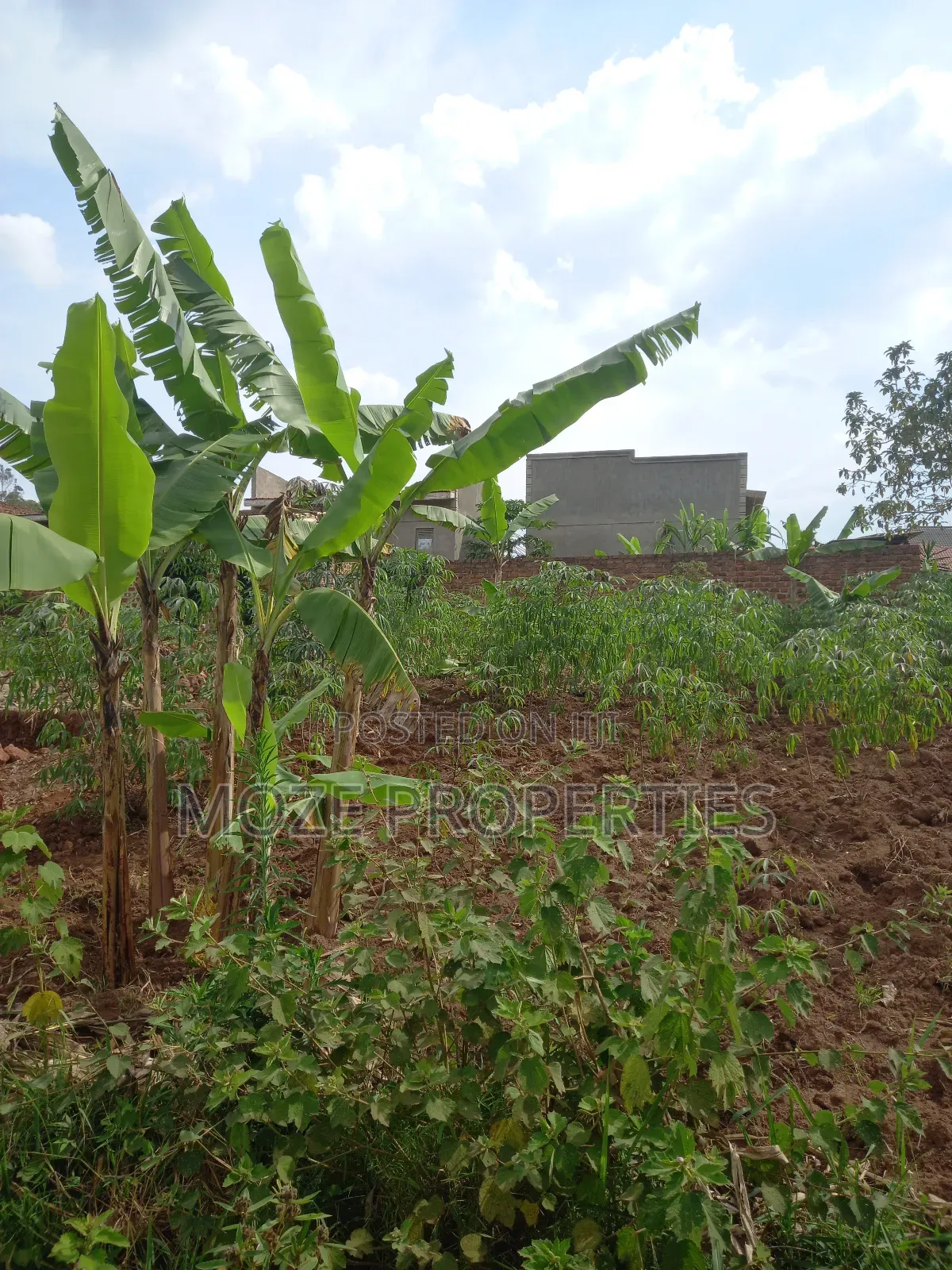 Sonde Kiwango 50x100 New Plots for Sale.