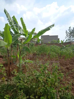 Sonde Kiwango 50x100 New Plots for Sale.