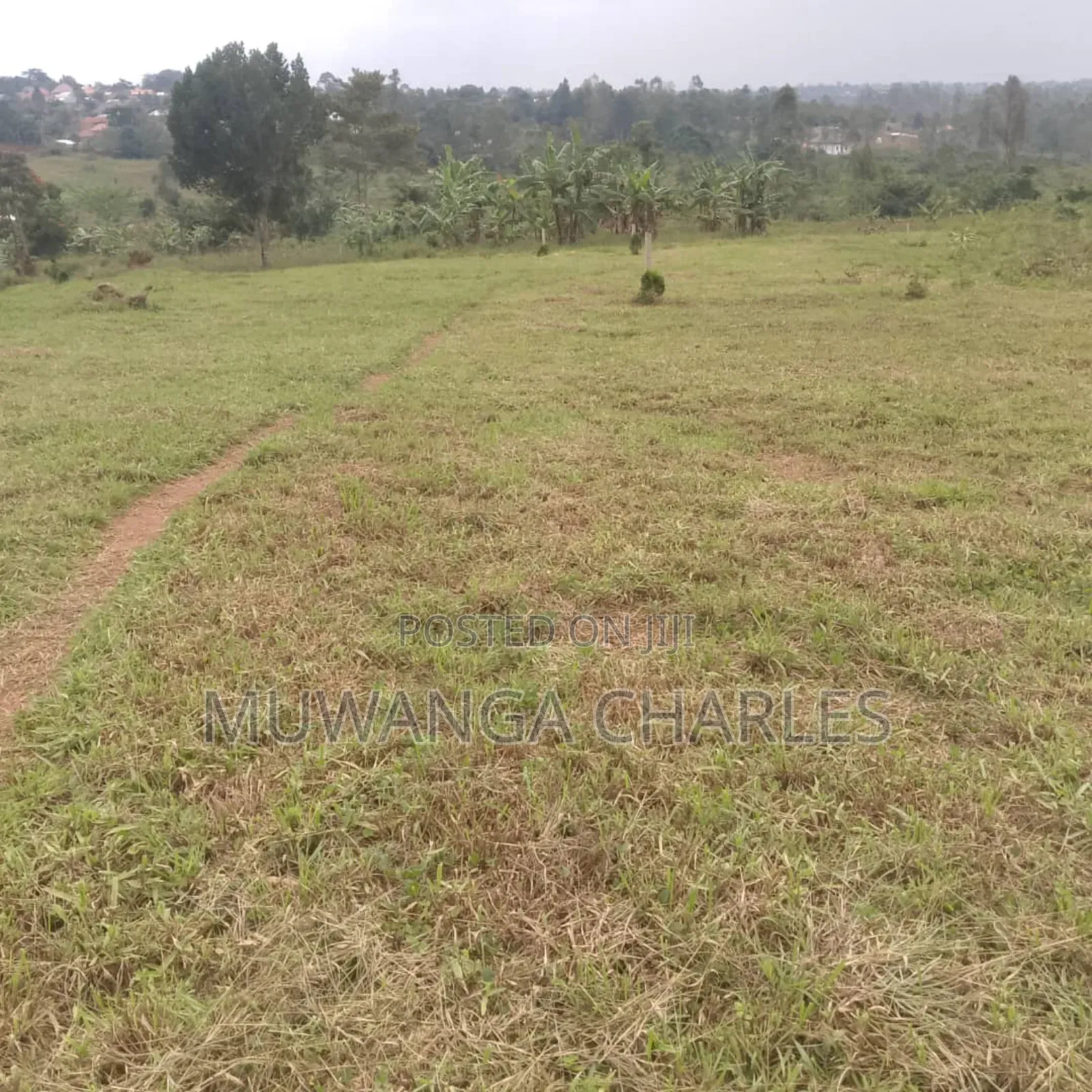 Plot on Quick Sale in Masoli