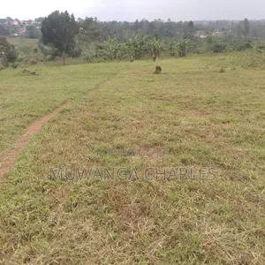Plot on Quick Sale in Masoli