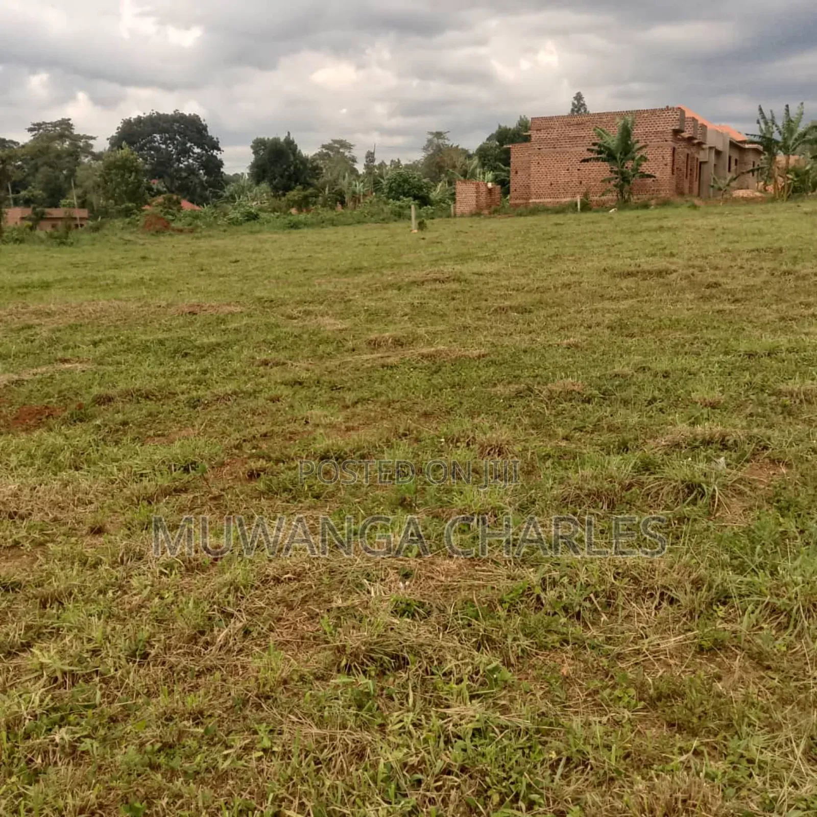 Plot on Quick Sale in Masoli