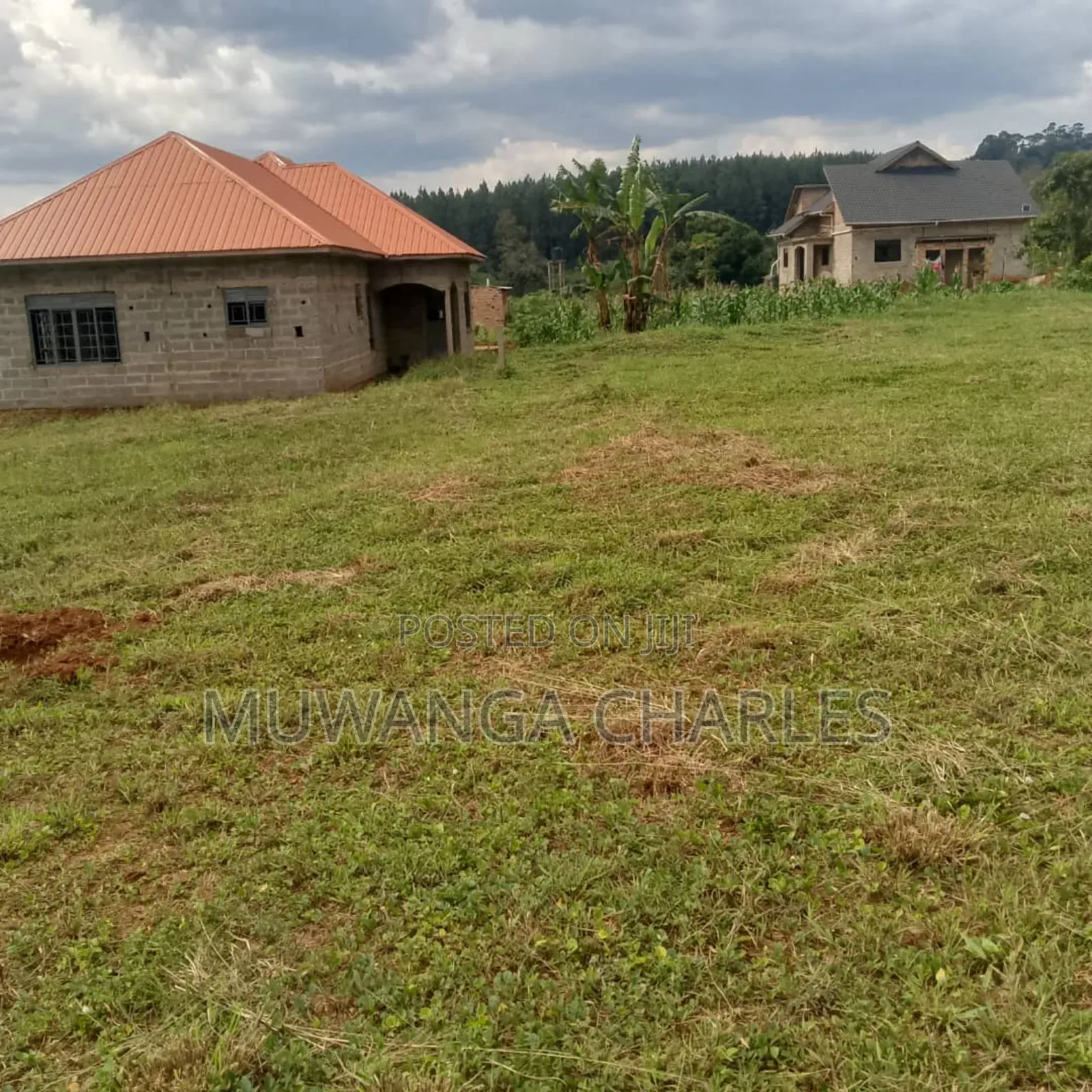 Plot on Quick Sale in Masoli