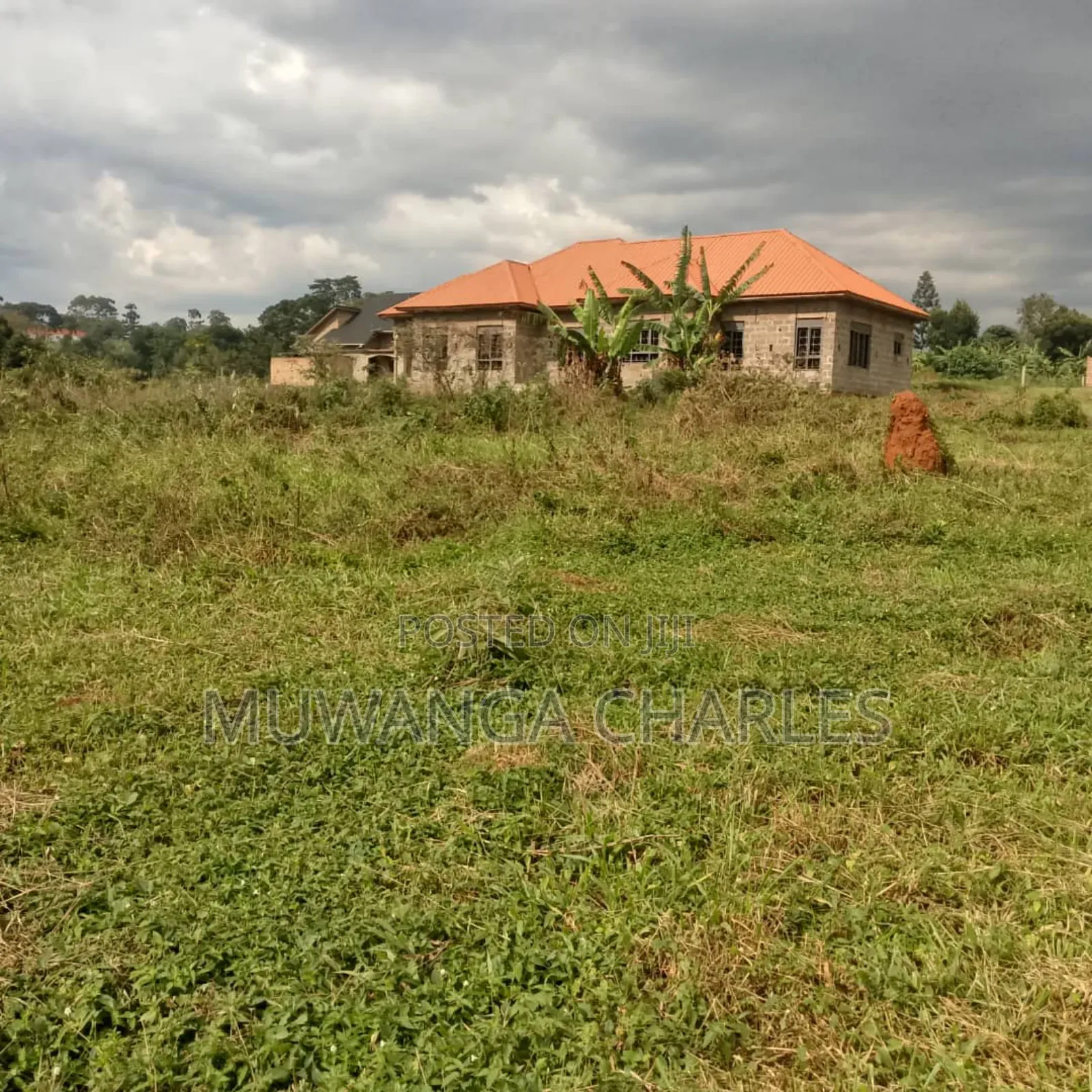 Plot on Quick Sale in Masoli