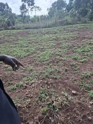 Land in Kiryowa Jandira