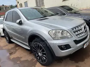 Mercedes-Benz M Class ML350 AWD 4MATIC 2009 Silver