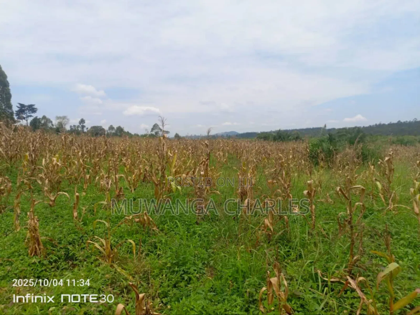 Land on Sale in Zirobwe Tongo