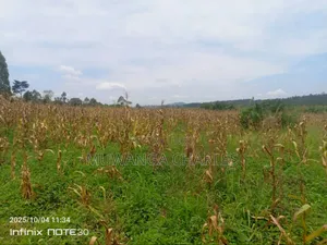 Land on Sale in Zirobwe Tongo