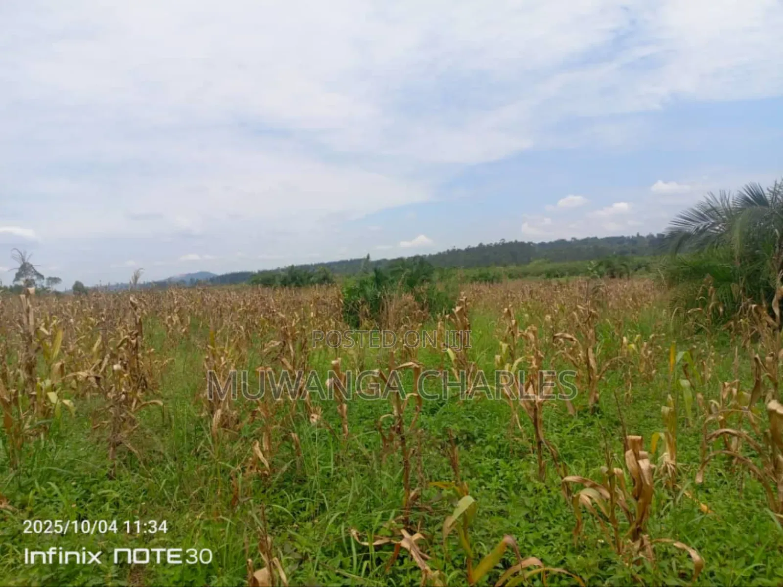 Land on Sale in Zirobwe Tongo