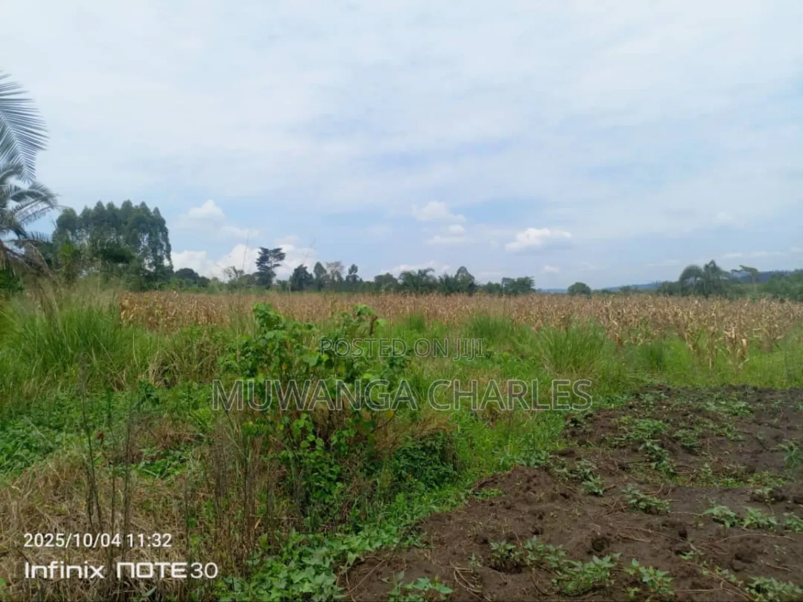 Land on Sale in Zirobwe Tongo