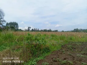 Land on Sale in Zirobwe Tongo