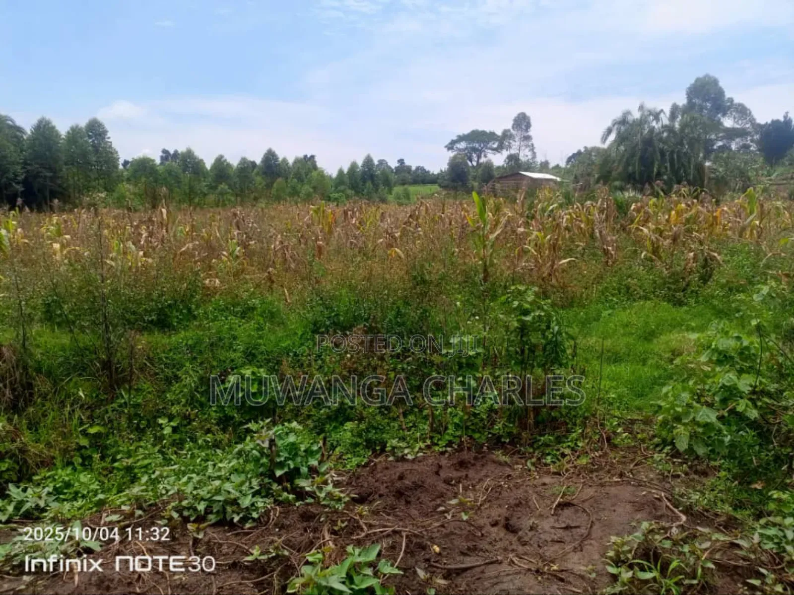Land on Sale in Zirobwe Tongo