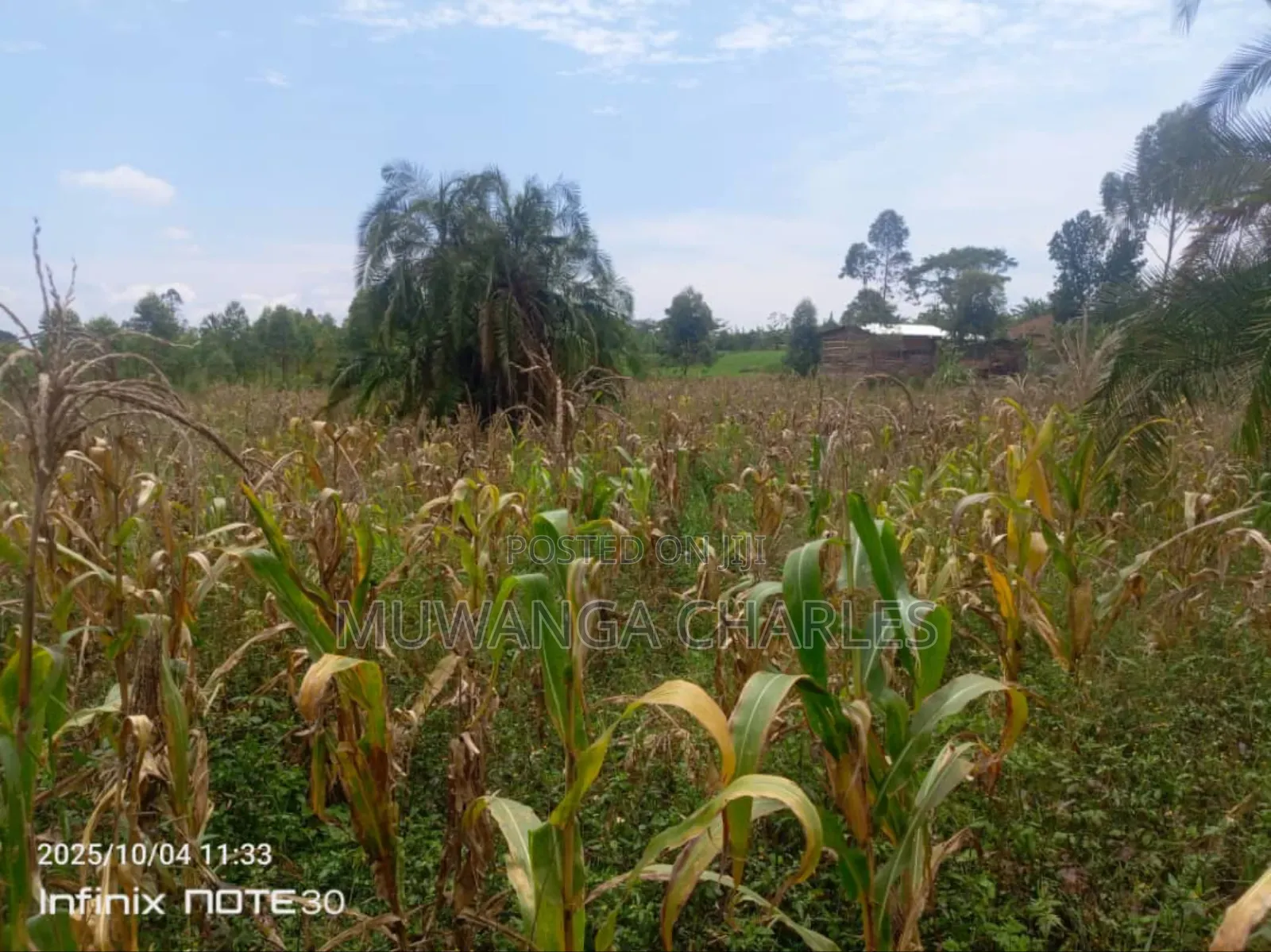 Land on Sale in Zirobwe Tongo