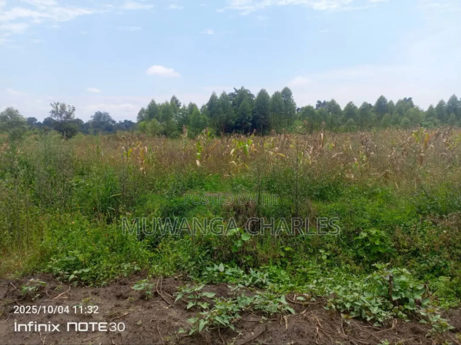 Land on Sale in Zirobwe Tongo