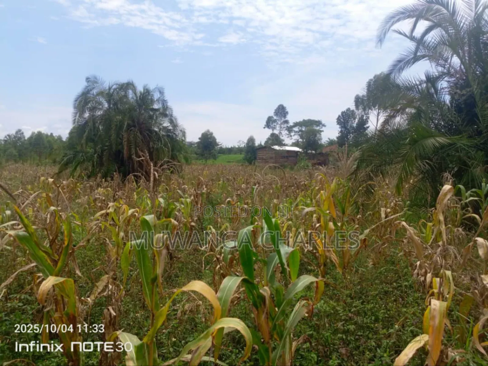 Land on Sale in Zirobwe Tongo