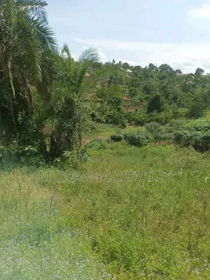 Plot on Sale in Kiwenda Phase 2