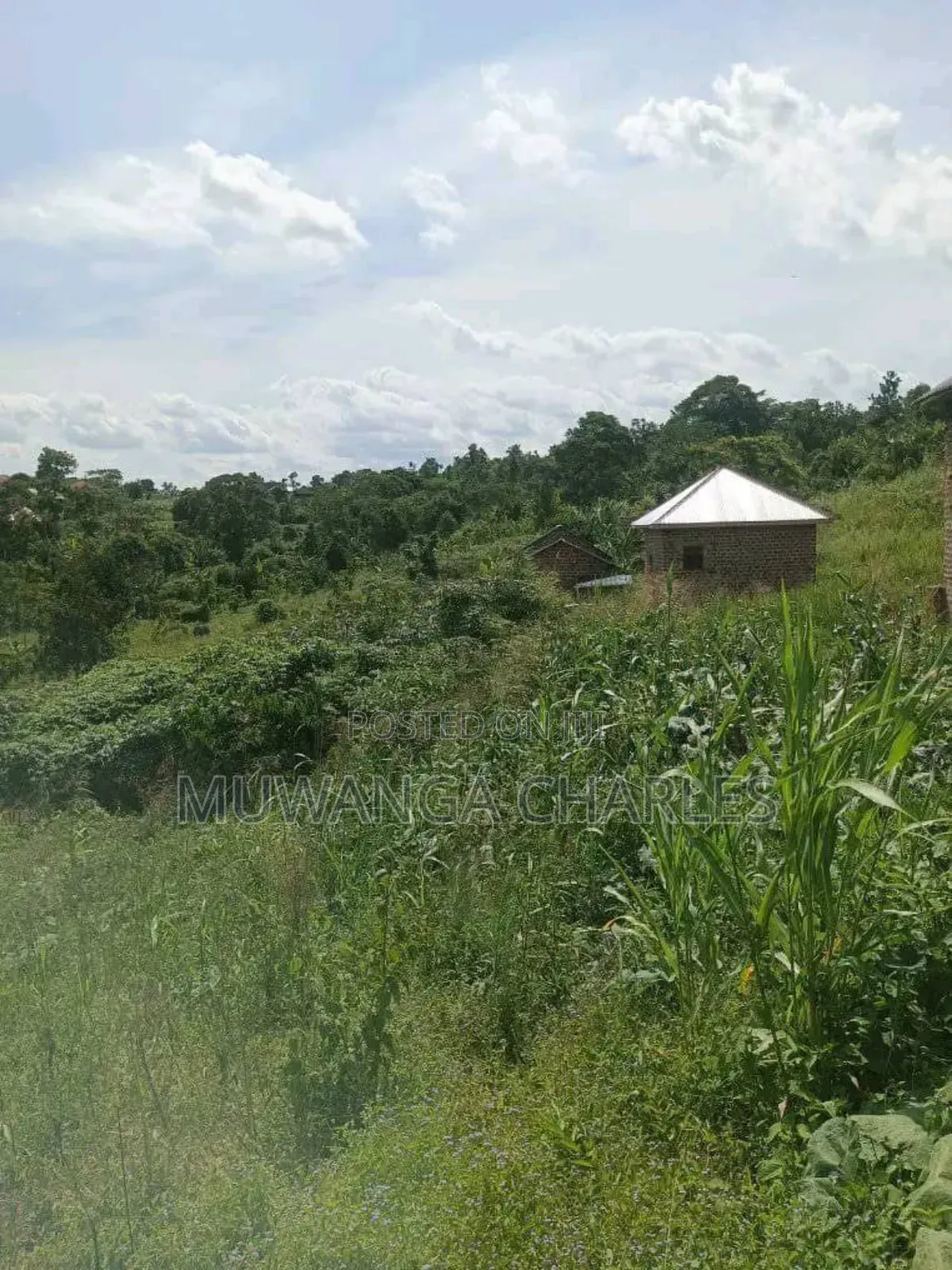 Plot on Sale in Kiwenda Phase 2