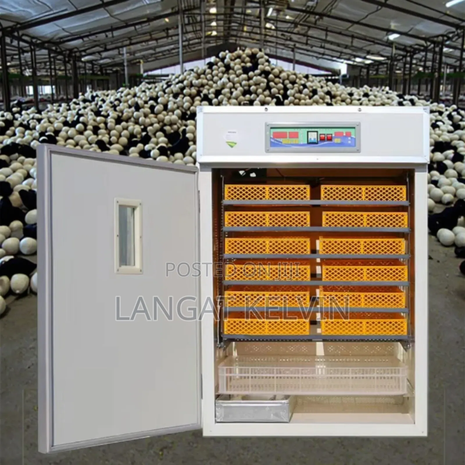 Great Farm 1056 Automatic Egg Chicken Incubator and Hatching Machine