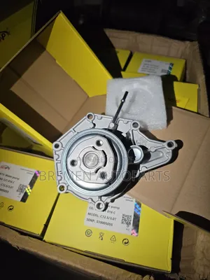 Water Pump Vw Tourage Hybrid