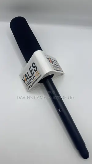 Wireless Camera and Microphone