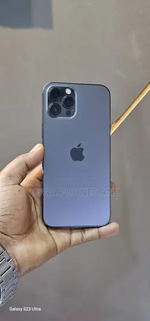 Apple iPhone 12 Pro Max 256 GB Gray