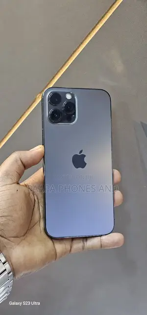 Apple iPhone 12 Pro Max 256 GB Gray