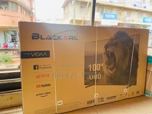 Blackark 100" Flat Screen