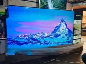 Blackark 100" Flat Screen