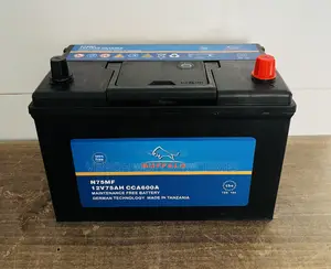 N75 Buffalo Car Battery