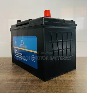 N75 Buffalo Car Battery