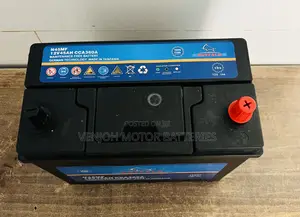 Ns60 /045 Buffalo Car Battery