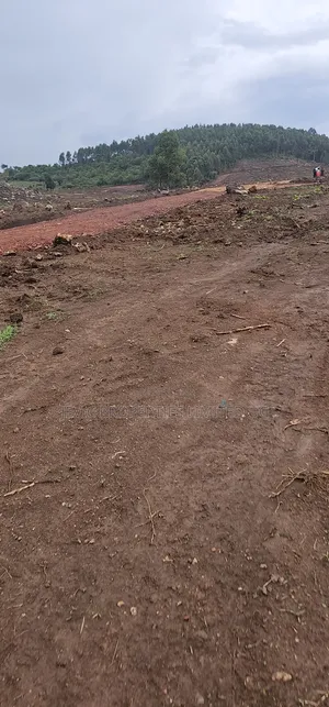 Victory Estate Wakiso - Gobero (50×100 Titled Plots )On Vibe Sale