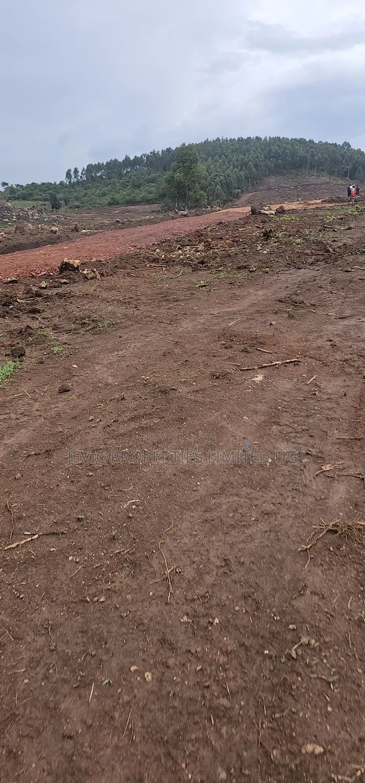Victory Estate Wakiso - Gobero (50×100 Titled Plots )On Vibe Sale