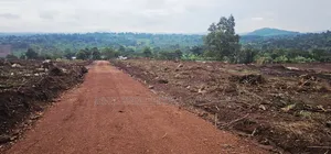 Become Victorius by Owning a Titled Plot at Gobero Along Hoima Rd