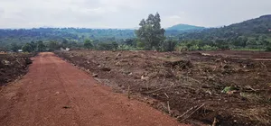 Become Victorius by Owning a Titled Plot at Gobero Along Hoima Rd