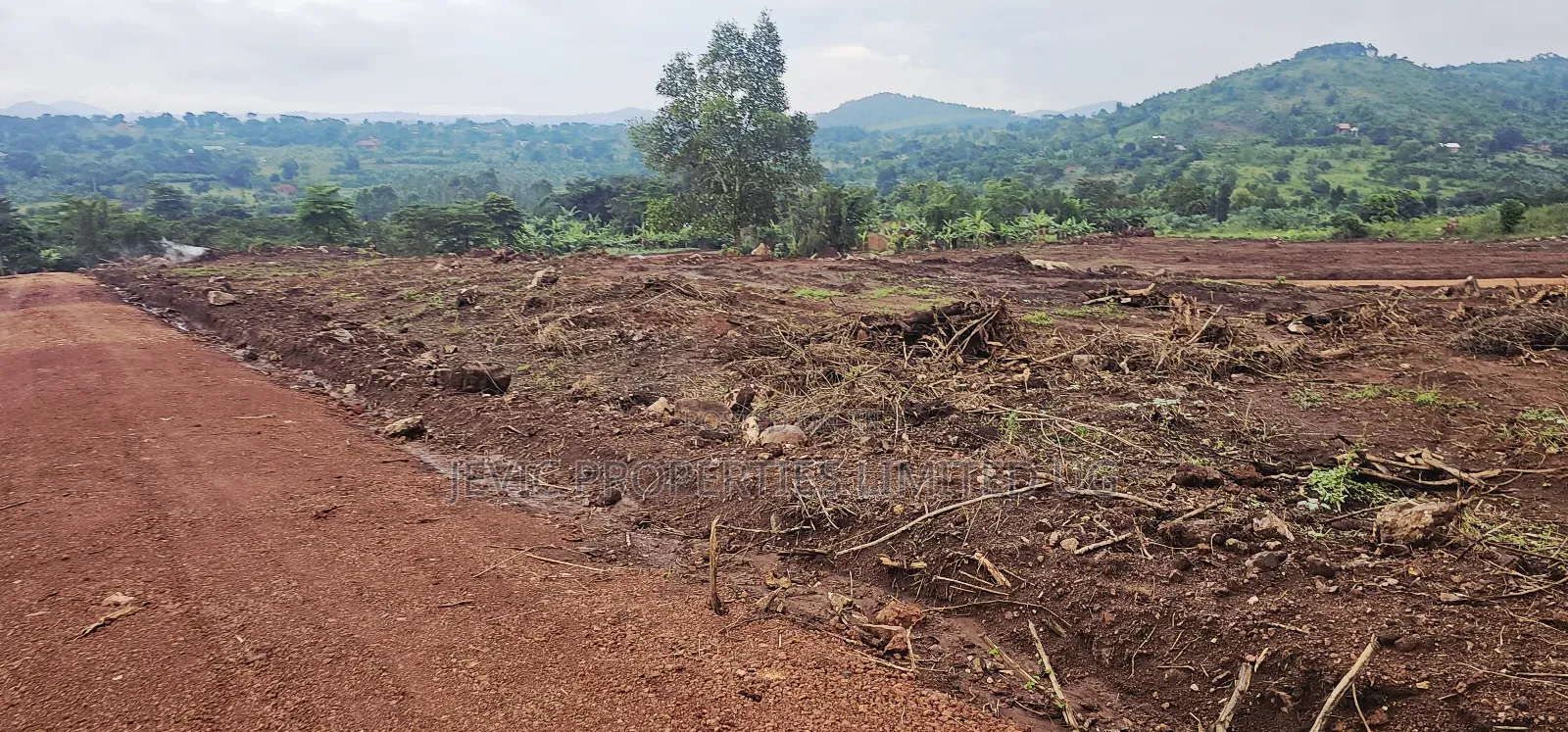 Become Victorius by Owning a Titled Plot at Gobero Along Hoima Rd