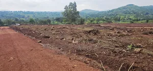 Become Victorius by Owning a Titled Plot at Gobero Along Hoima Rd