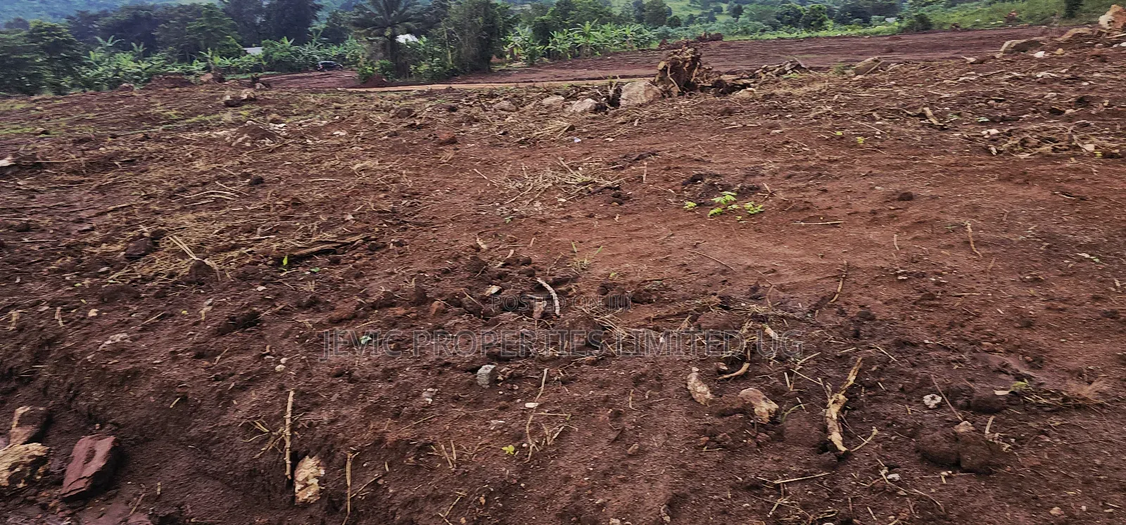 Become Victorius by Owning a Titled Plot at Gobero Along Hoima Rd