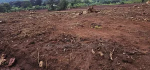 Become Victorius by Owning a Titled Plot at Gobero Along Hoima Rd