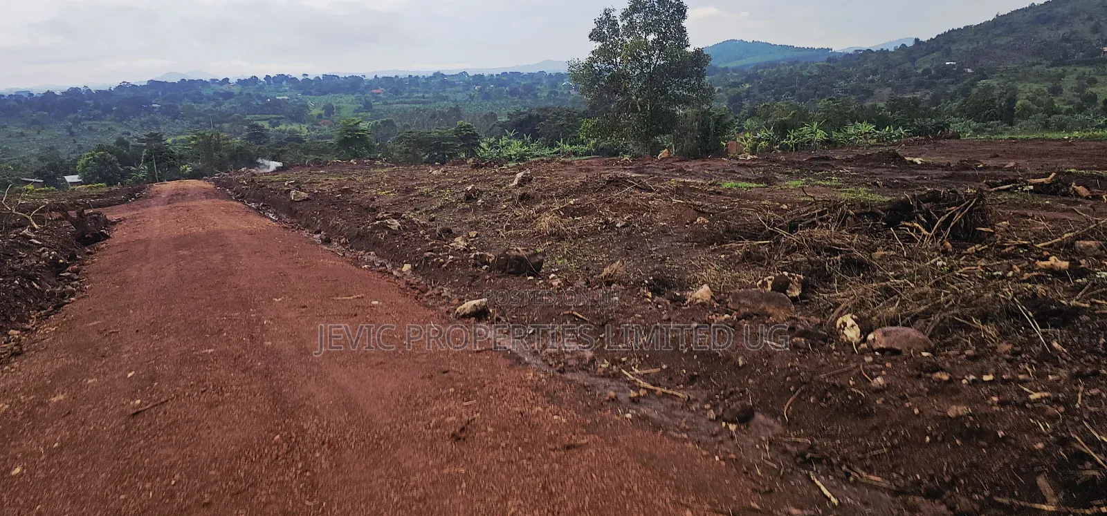 Become Victorius by Owning a Titled Plot at Gobero Along Hoima Rd